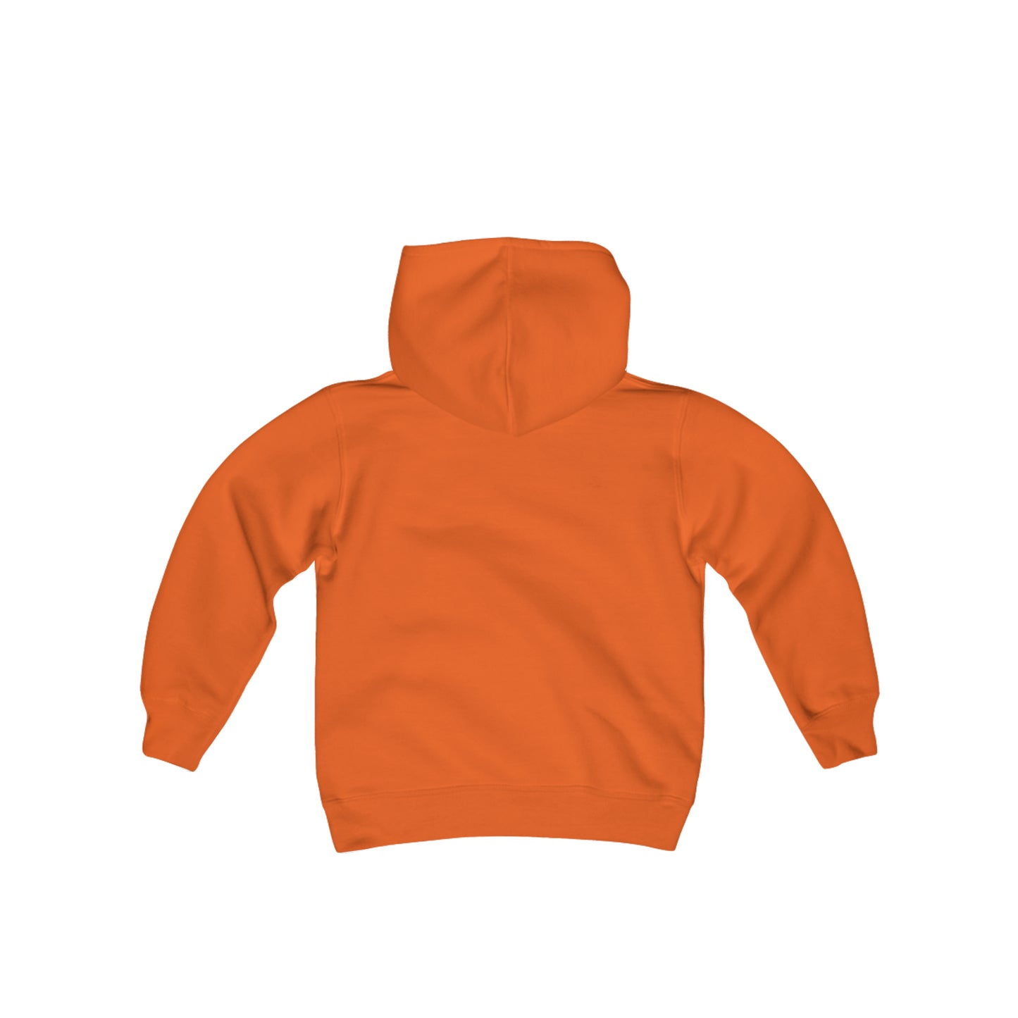 Jupiter Waves Graphics Logo / Youth Heavy Blend Hooded Sweatshirt