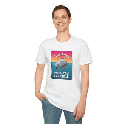 Manatee Shirt, Sea Cow, Beach shirt, Gift for friends and family, Calm Vibes Shirt, Vacation Mode Shirt, Animal Shirt, Fun Shirt