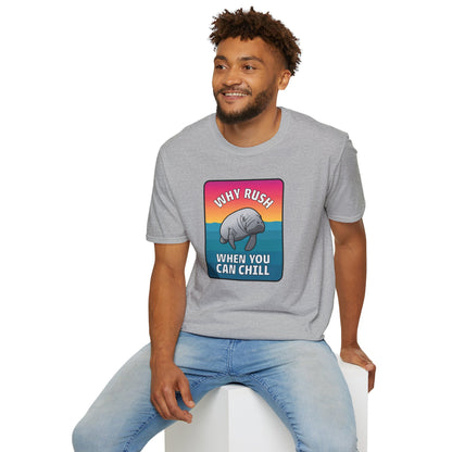 Manatee Shirt, Sea Cow, Beach shirt, Gift for friends and family, Calm Vibes Shirt, Vacation Mode Shirt, Animal Shirt, Fun Shirt