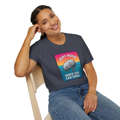 Manatee Shirt, Sea Cow, Beach shirt, Gift for friends and family, Calm Vibes Shirt, Vacation Mode Shirt, Animal Shirt, Fun Shirt
