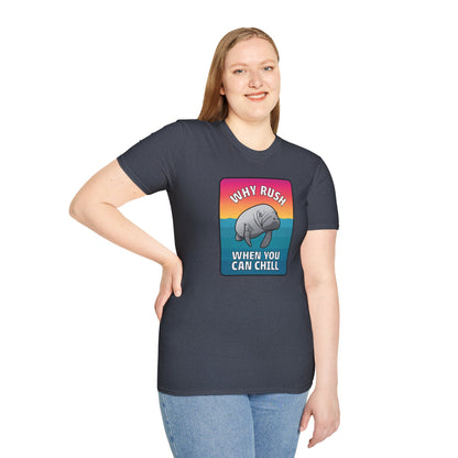Manatee Shirt, Sea Cow, Beach shirt, Gift for friends and family, Calm Vibes Shirt, Vacation Mode Shirt, Animal Shirt, Fun Shirt