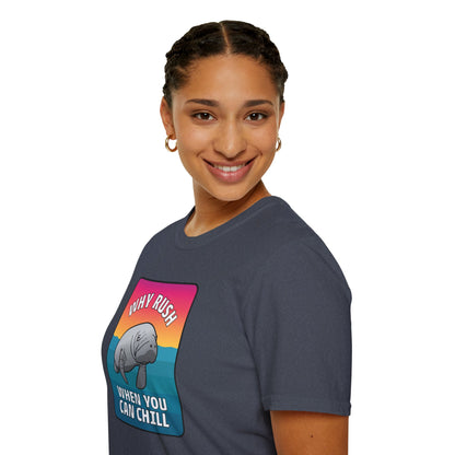Manatee Shirt, Sea Cow, Beach shirt, Gift for friends and family, Calm Vibes Shirt, Vacation Mode Shirt, Animal Shirt, Fun Shirt