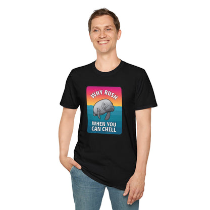 Manatee Shirt, Sea Cow, Beach shirt, Gift for friends and family, Calm Vibes Shirt, Vacation Mode Shirt, Animal Shirt, Fun Shirt